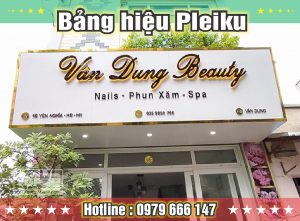 Read more about the article Làm Bảng Hiệu Pleiku